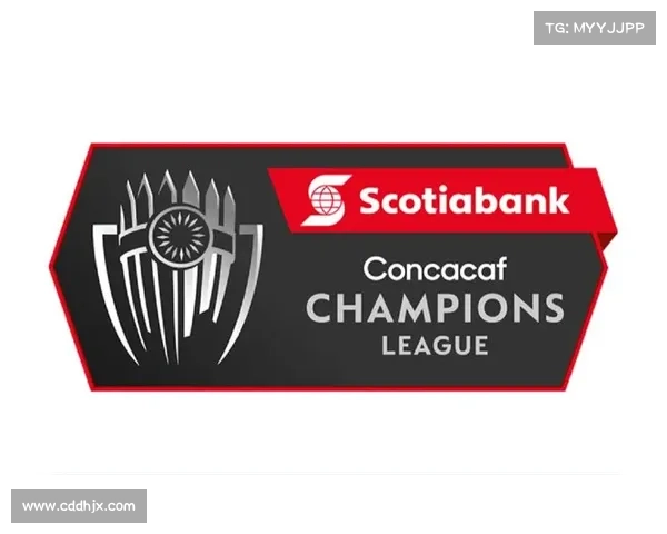 全面解析美冠杯比赛级别及赛事体系深度指南