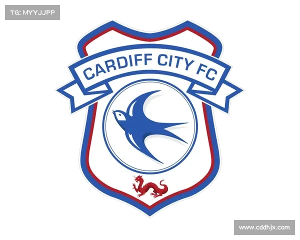 加的夫城足球联赛分类详解及发展历程分析 加的夫城足球联赛分类详解及发展历程分析