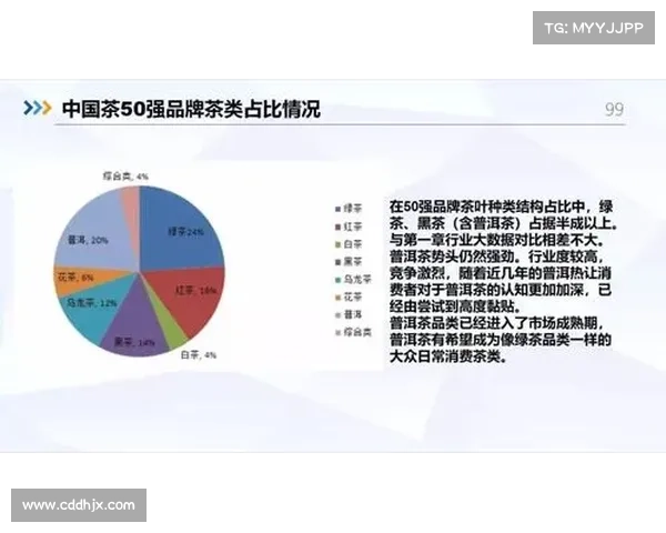 坎贝尔位置选择与比赛策略分析探讨