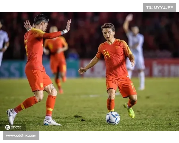 安联保险在全球体育领域的赞助策略与深度解析